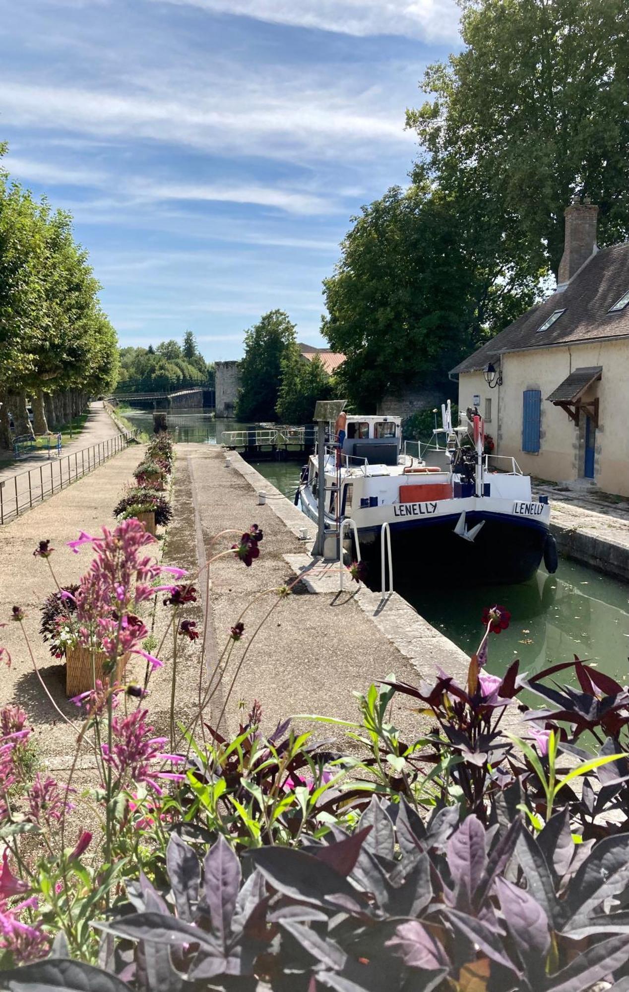 La Maison Virginie 1 A 2 Pers Charmant Hyper Centre- Cour- Parking- Linge- Fibre- Proximite Lac Canal Piscine Montargis Buitenkant foto